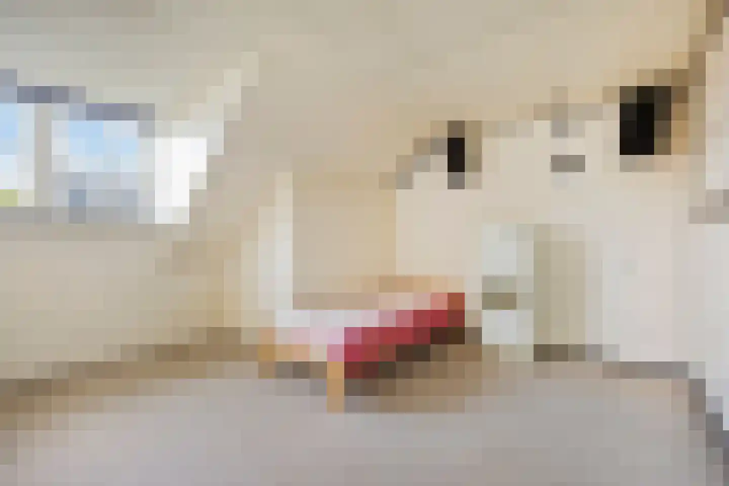 Boskamp 12 Ewijk thumbnail 40