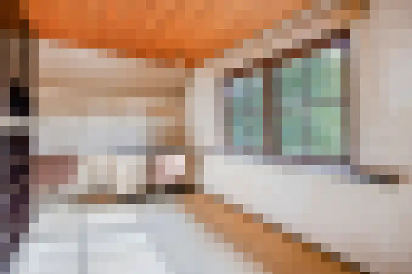 Boskamp 12 Ewijk thumbnail 42