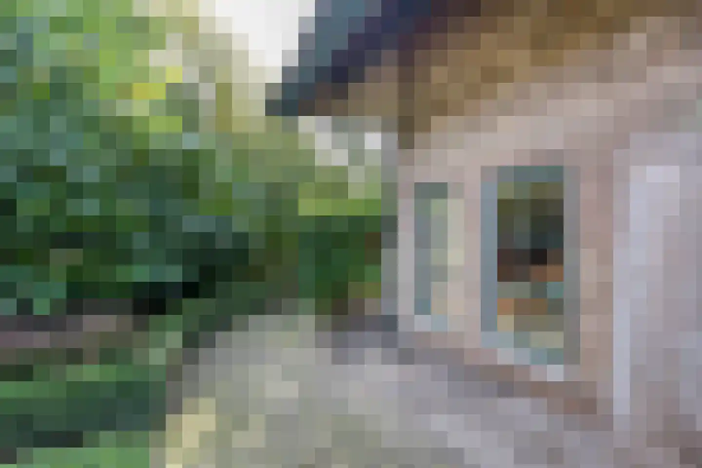 Boskamp 12 Ewijk thumbnail 48