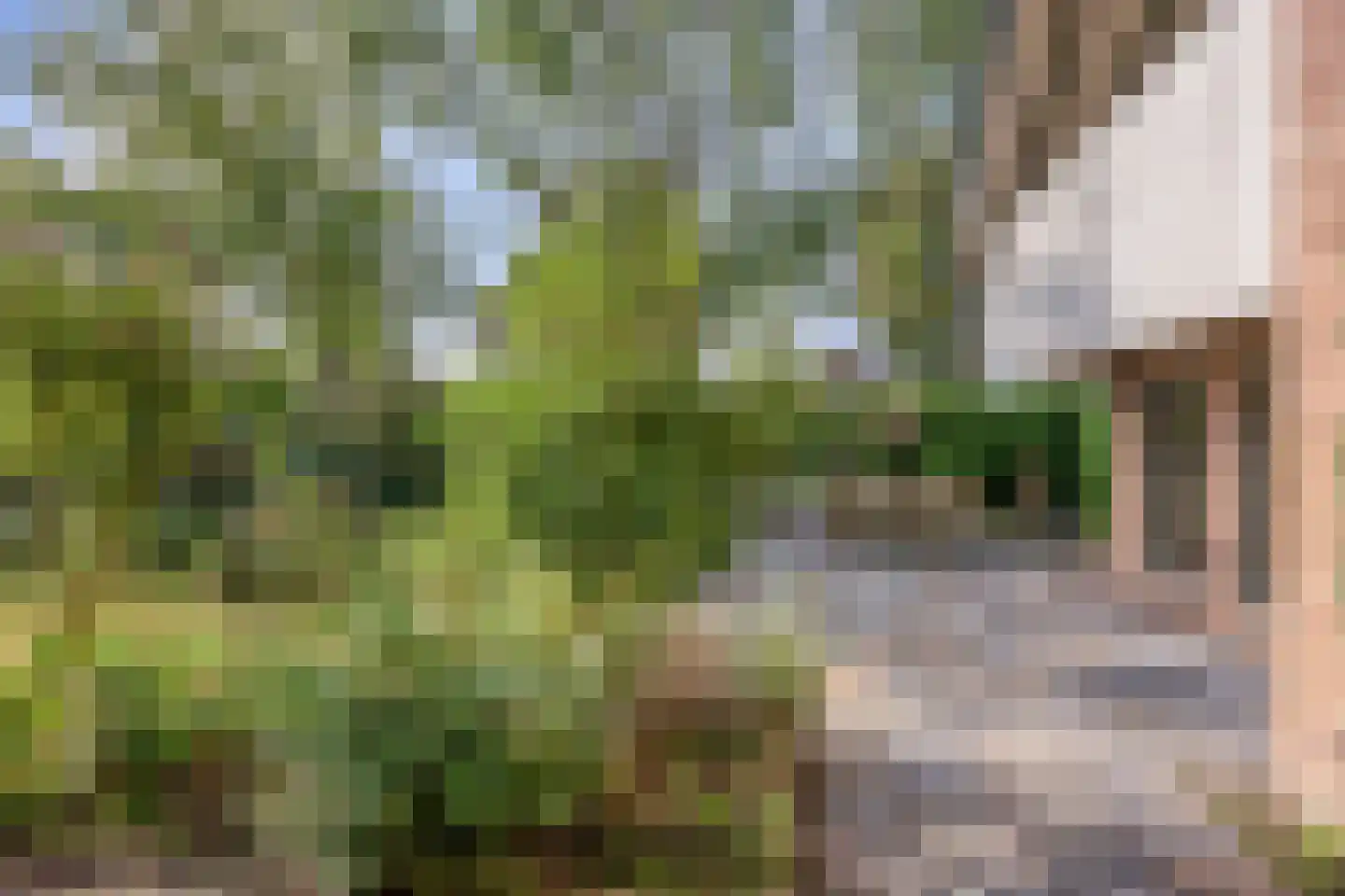 Boskamp 12 Ewijk thumbnail 49