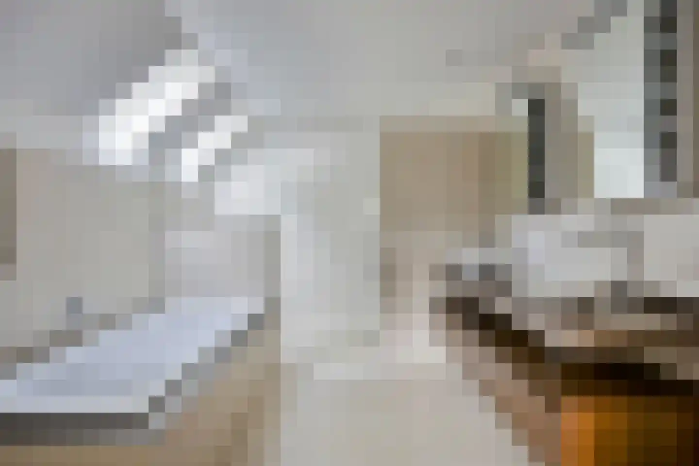Boskamp 12 Ewijk thumbnail 5