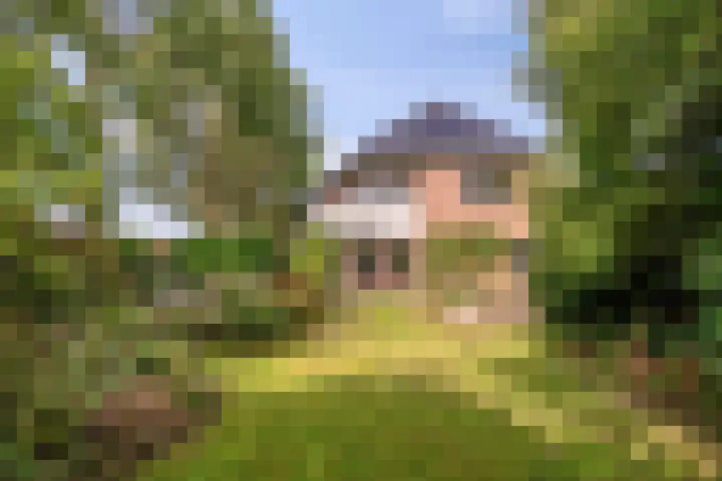 Boskamp 12 Ewijk thumbnail 50