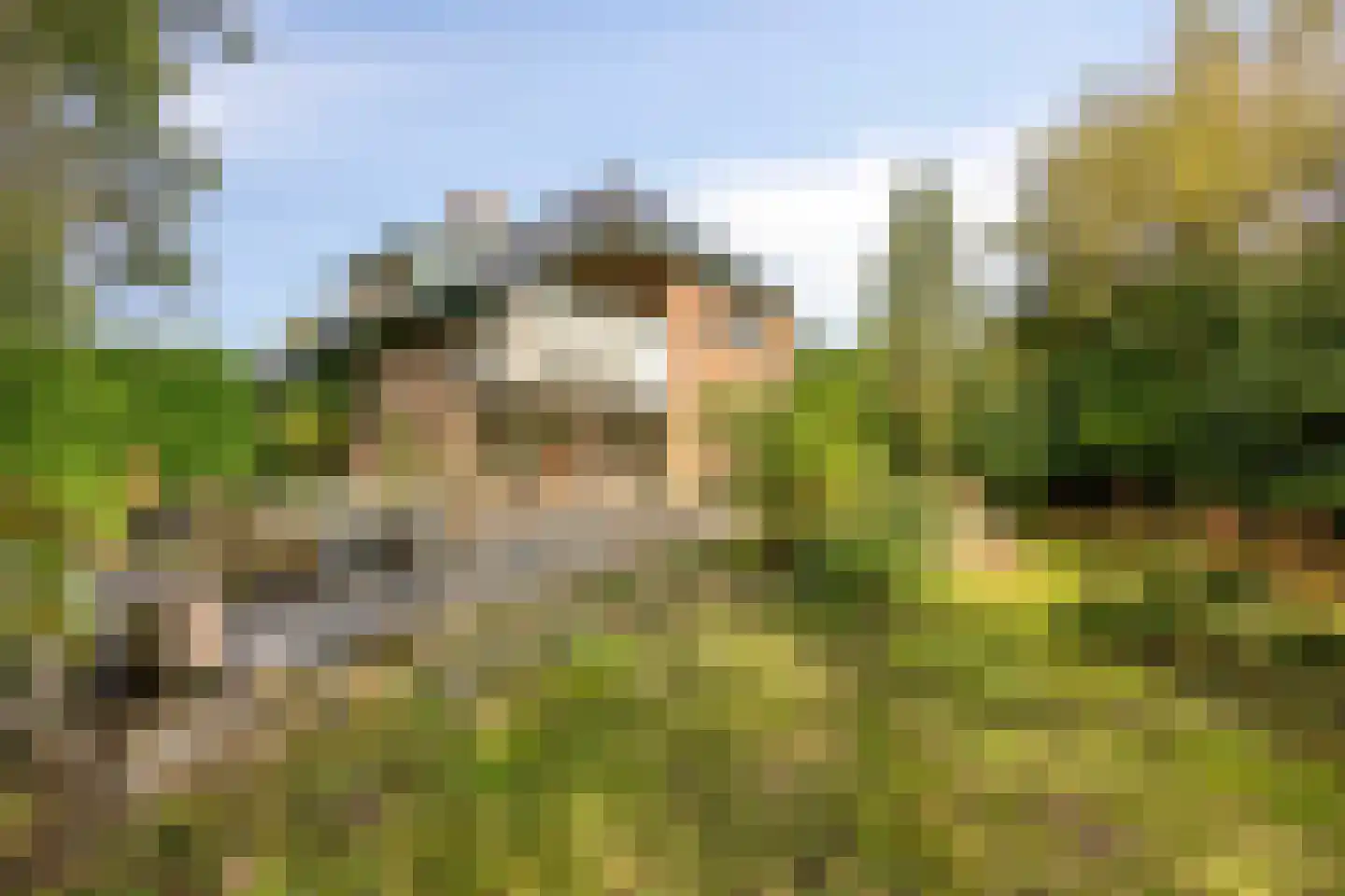 Boskamp 12 Ewijk thumbnail 51