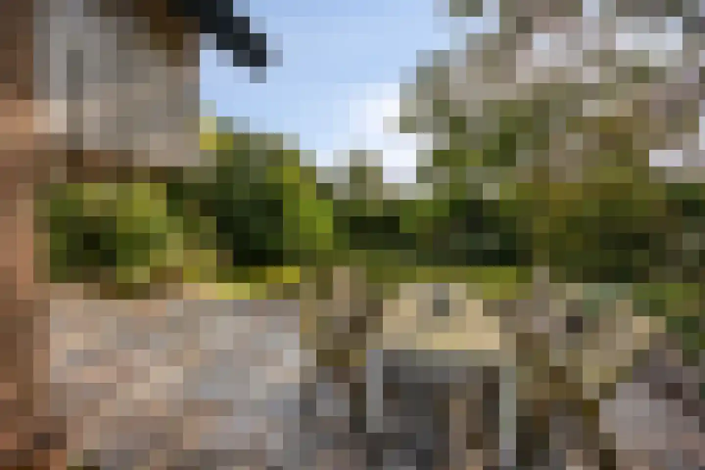 Boskamp 12 Ewijk thumbnail 52