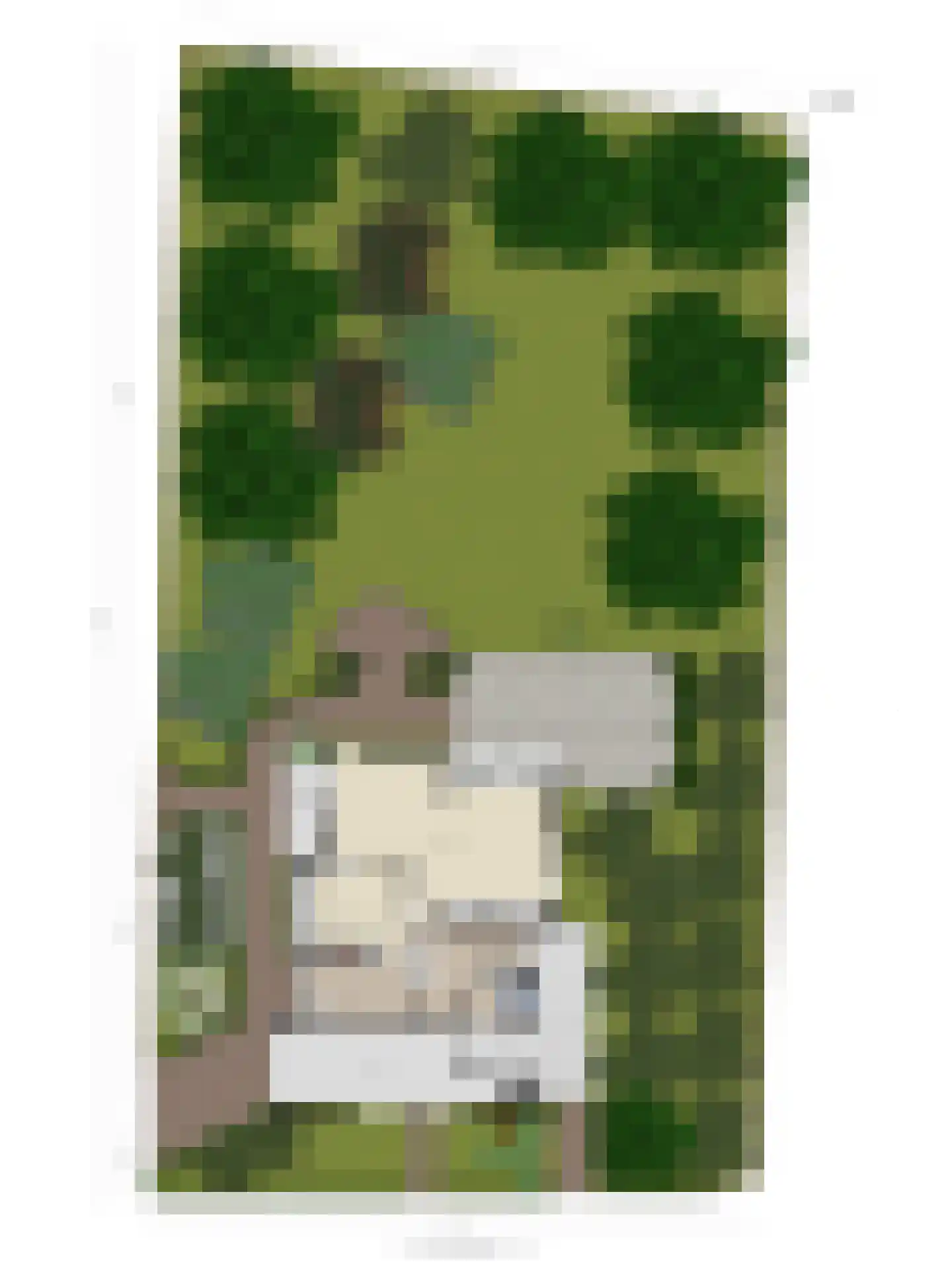 Boskamp 12 Ewijk thumbnail 54