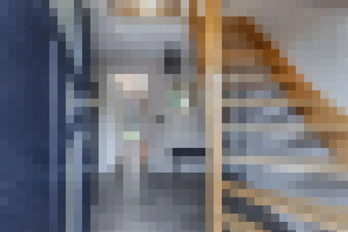 Boskamp 13 Oosterwolde thumbnail 10