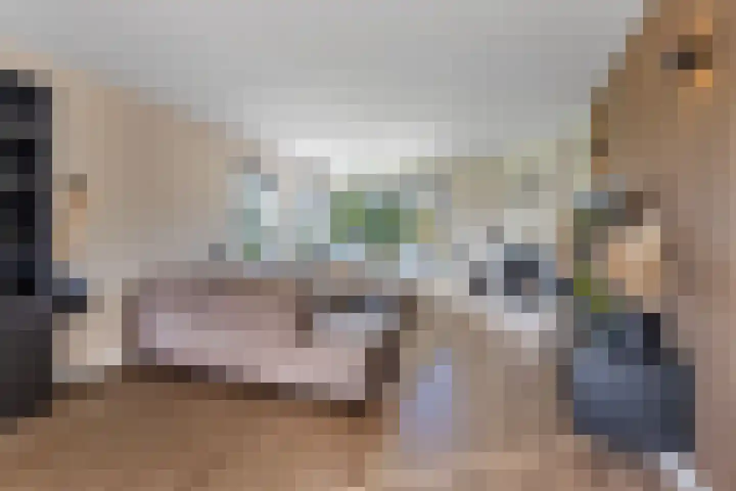 Boskamp 13 Oosterwolde thumbnail 14