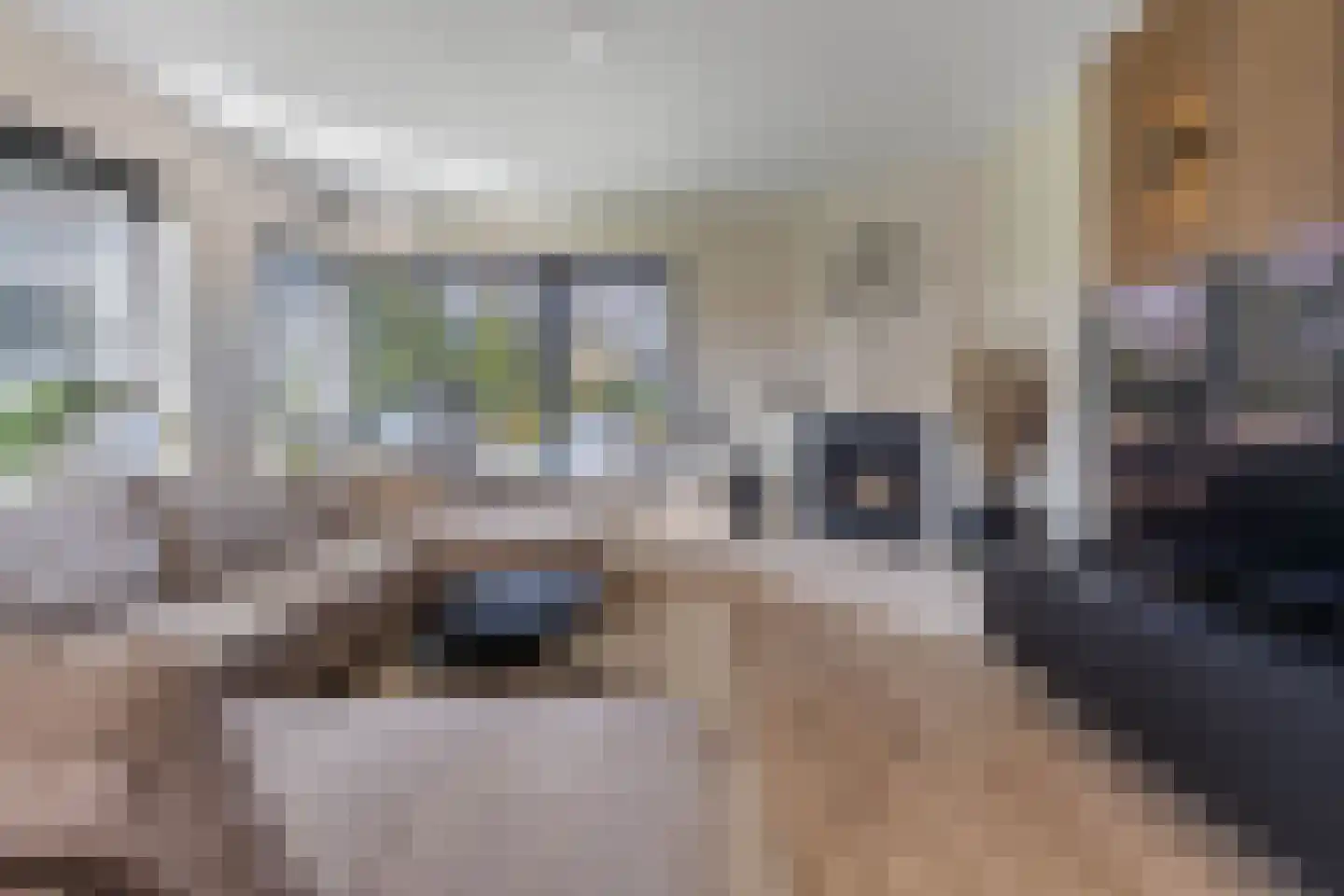 Boskamp 13 Oosterwolde thumbnail 15