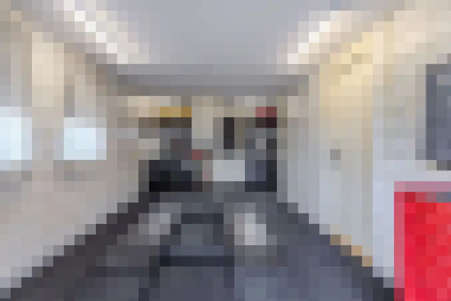Boskamp 13 Oosterwolde thumbnail 26