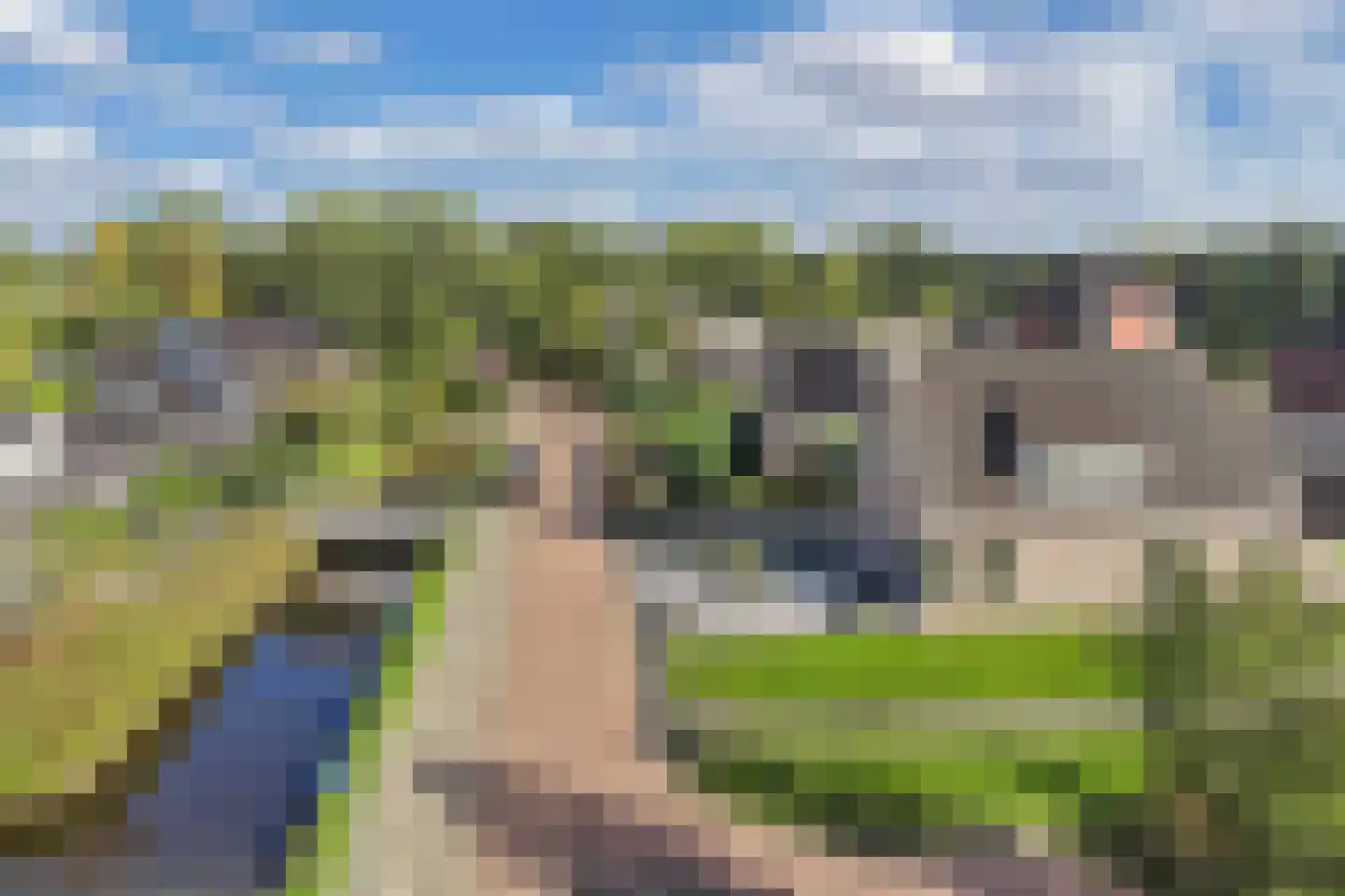 Boskamp 13 Oosterwolde thumbnail 63