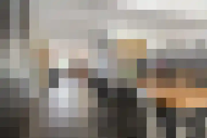 Boskamp 15 Vries thumbnail 11