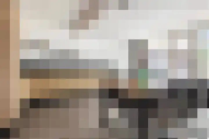 Boskamp 15 Vries thumbnail 14