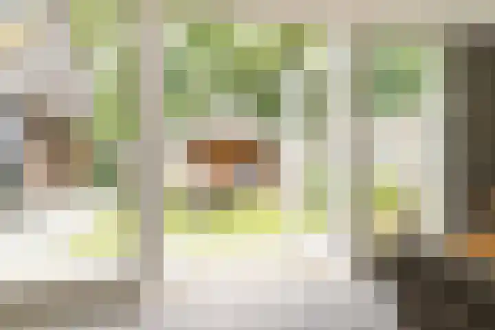 Boskamp 15 Vries thumbnail 16