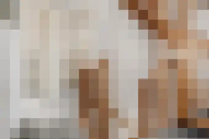 Boskamp 15 Vries thumbnail 19
