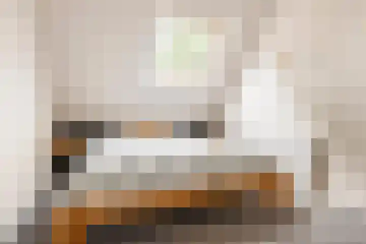 Boskamp 15 Vries thumbnail 22