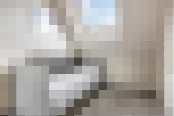 Boskamp 15 Vries thumbnail 23