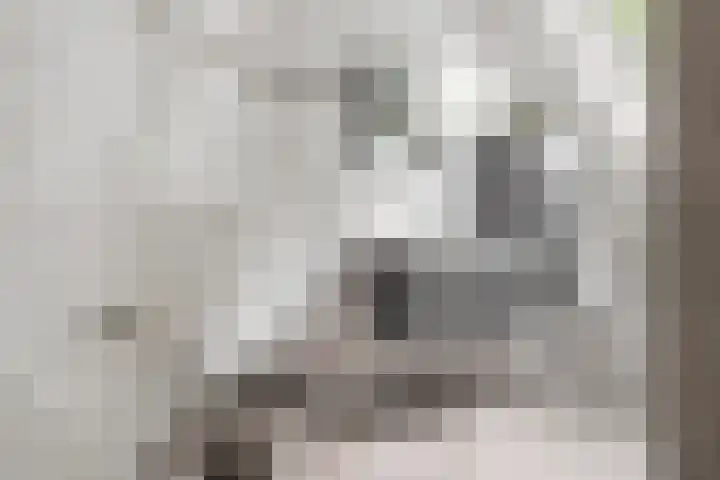 Boskamp 15 Vries thumbnail 25