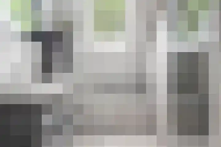 Boskamp 15 Vries thumbnail 26