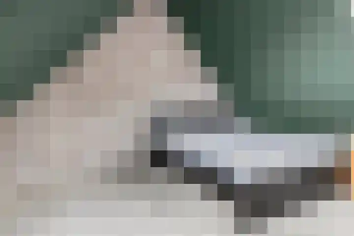 Boskamp 15 Vries thumbnail 30