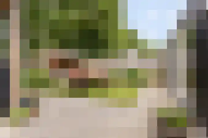 Boskamp 15 Vries thumbnail 31