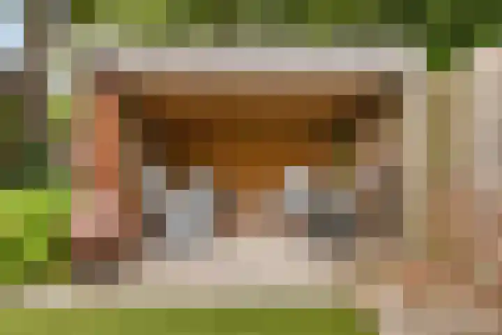 Boskamp 15 Vries thumbnail 32