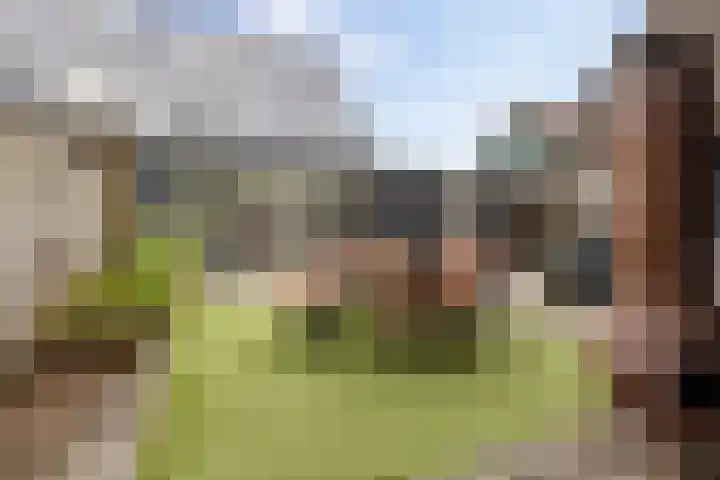 Boskamp 15 Vries thumbnail 33