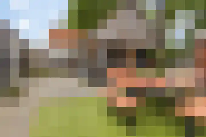 Boskamp 15 Vries thumbnail 34