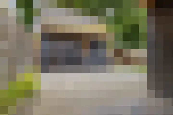 Boskamp 15 Vries thumbnail 35