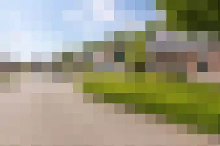 Boskamp 15 Vries thumbnail 36
