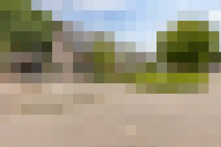Boskamp 15 Vries thumbnail 37