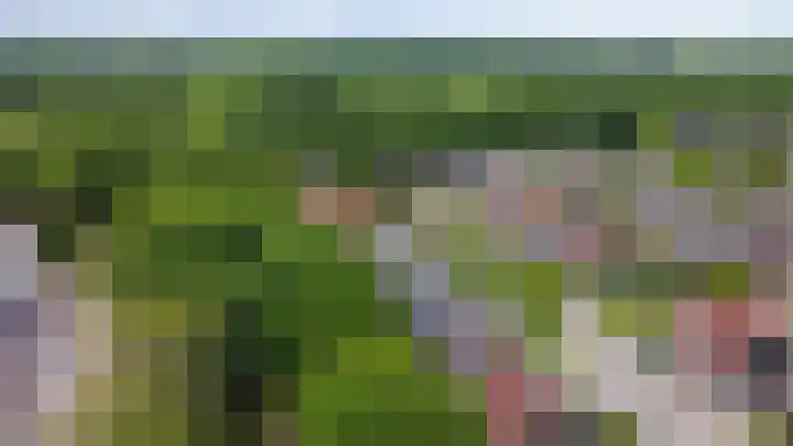 Boskamp 15 Vries thumbnail 38