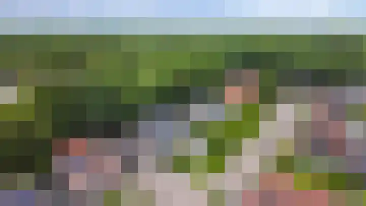 Boskamp 15 Vries thumbnail 39