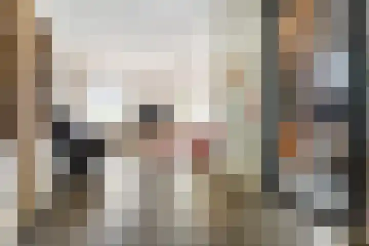 Boskamp 15 Vries thumbnail 4