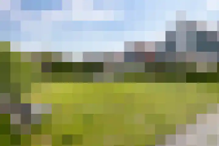 Boskamp 15 Vries thumbnail 40