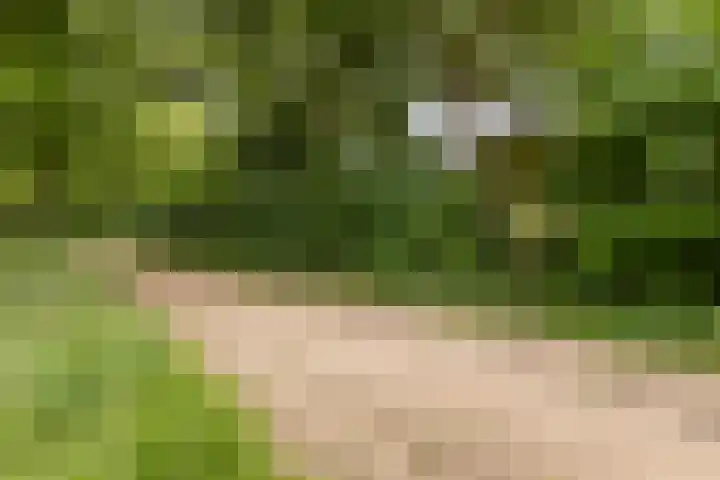 Boskamp 15 Vries thumbnail 41