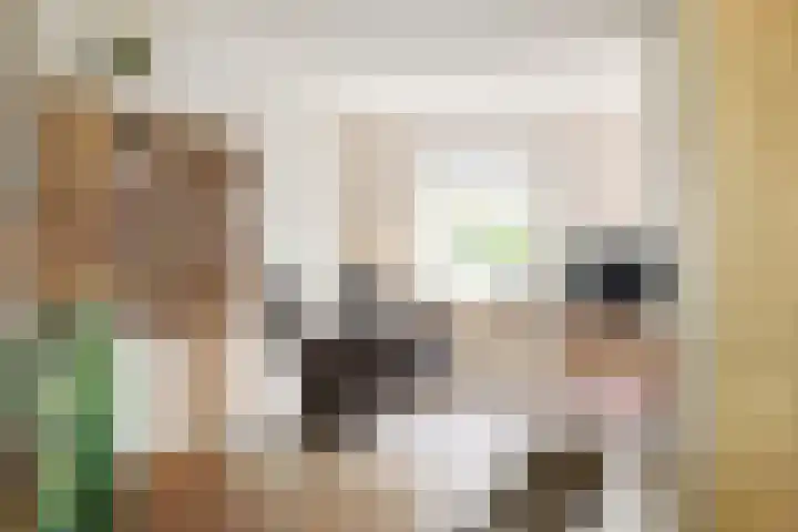 Boskamp 15 Vries thumbnail 5