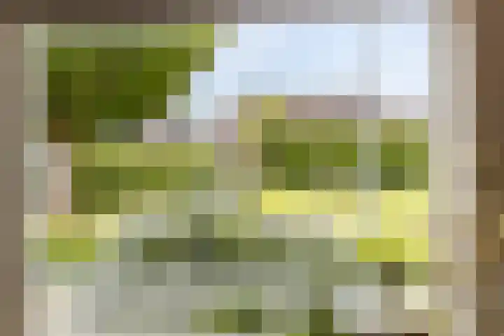 Boskamp 15 Vries thumbnail 6