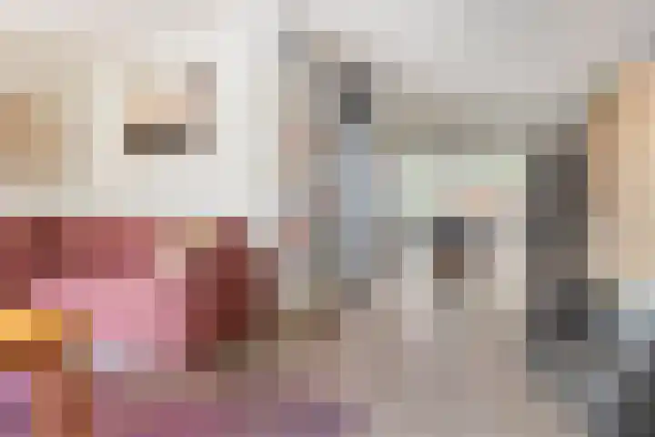 Boskamp 15 Vries thumbnail 8