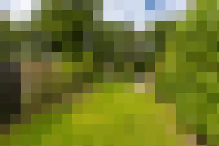 Boskamp 16 Haren Gn thumbnail 30