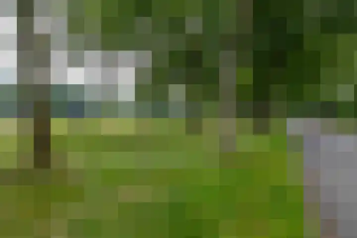 Boskamp 16 Haren Gn thumbnail 31