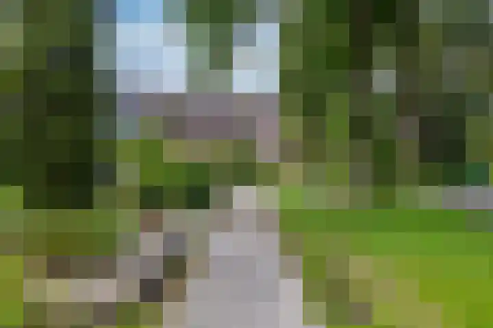 Boskamp 16 Haren Gn thumbnail 32