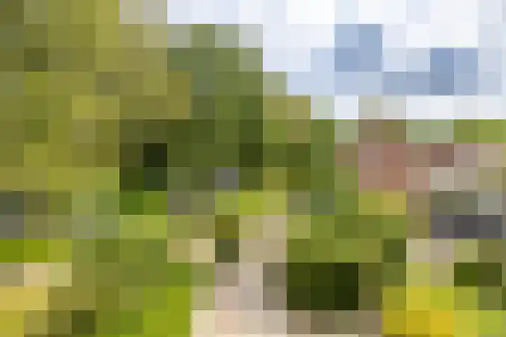 Boskamp 16 Haren Gn thumbnail 33