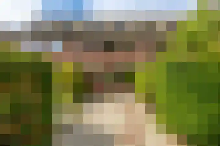 Boskamp 16 Haren Gn thumbnail 41