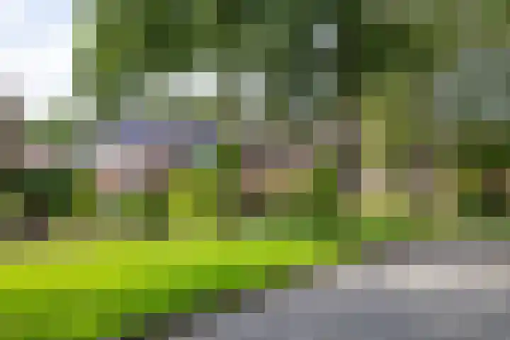 Boskamp 16 Haren Gn thumbnail 5