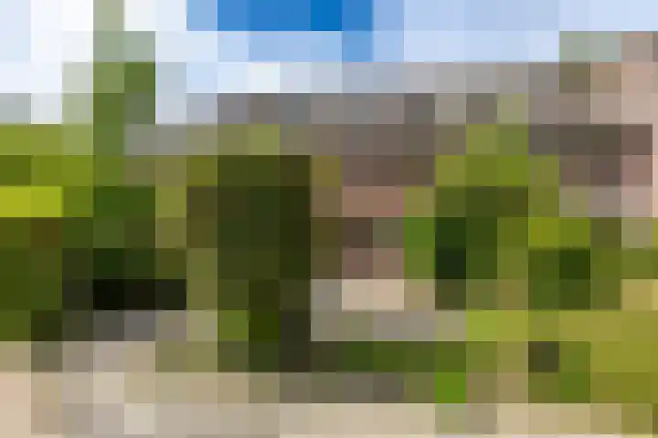 Boskamp 16 Haren Gn thumbnail 7