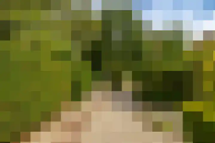 Boskamp 16 Haren Gn thumbnail 8