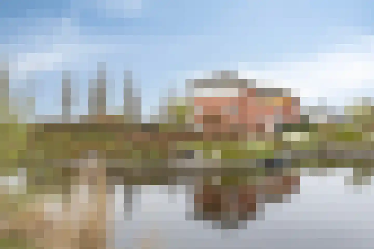 Boskamp 17 in Oosterwolde