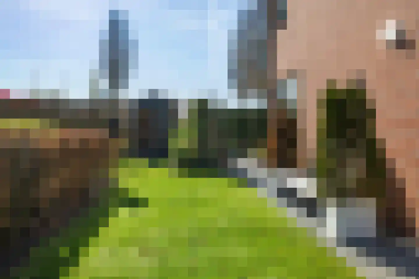 Boskamp 17 Oosterwolde thumbnail 109