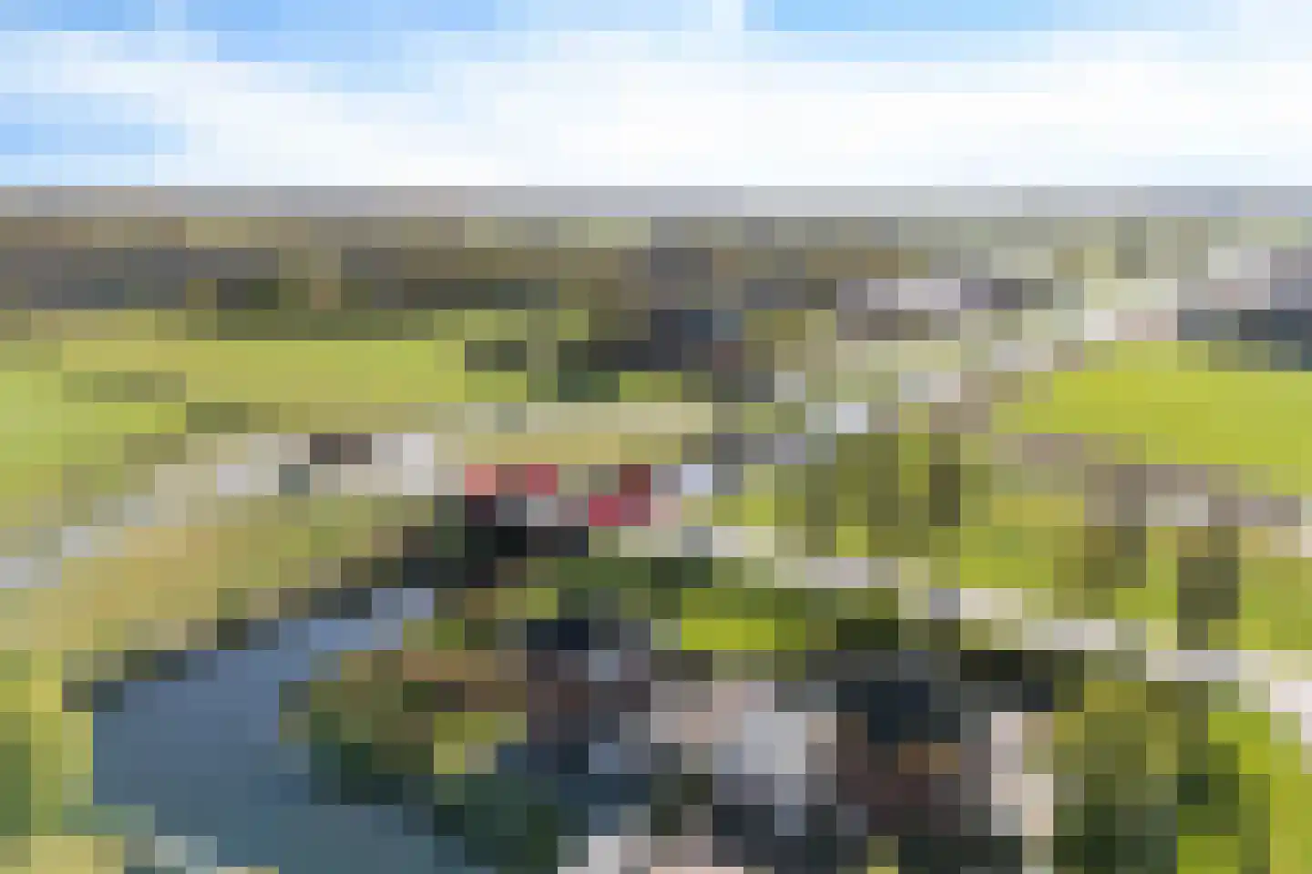 Boskamp 17 Oosterwolde thumbnail 125