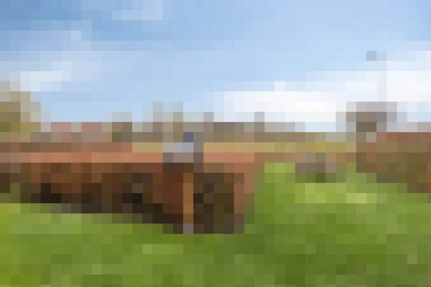 Boskamp 17 Oosterwolde thumbnail 31